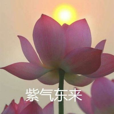 安卓霸者传奇手机游戏下载